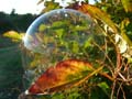 'Soap Bubble Synergy' by Ainsley Elizabeth Ryan